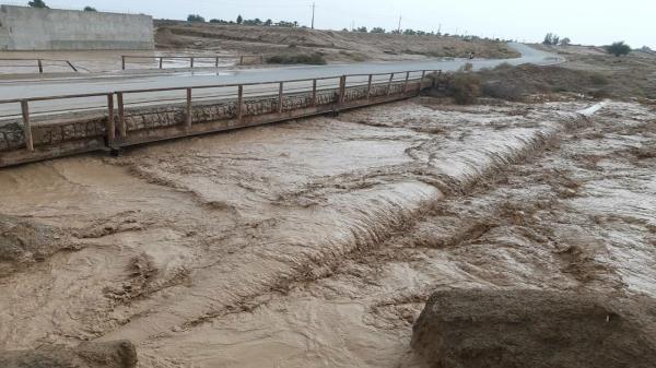 هواشناسی بوشهر درباره فعالیت نخستین سامانه بارشی زمستان هشدار داد