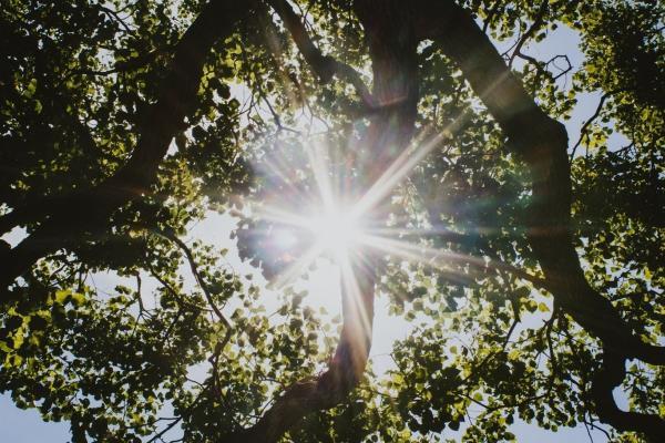 5 فایدۀ نور آفتاب برای سلامتی که باید بدانید