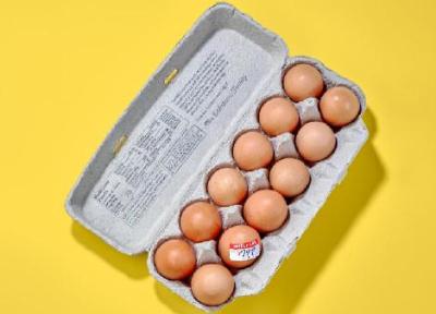 تشخیص تخم مرغ سالم با 6 روش