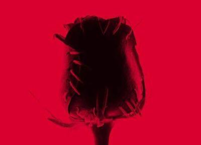 هی قصه کنیس و اما